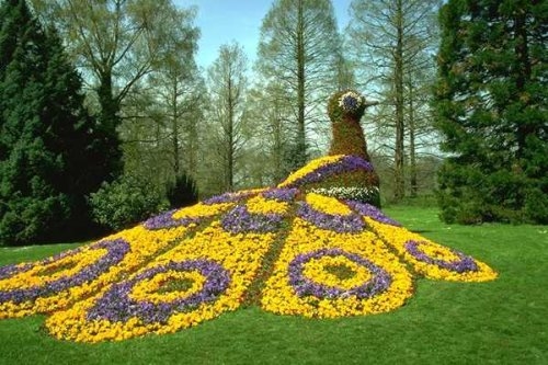 園藝研究生就業(yè)前景如何是冷門專業(yè)嗎?農(nóng)學園藝女生學合適嗎