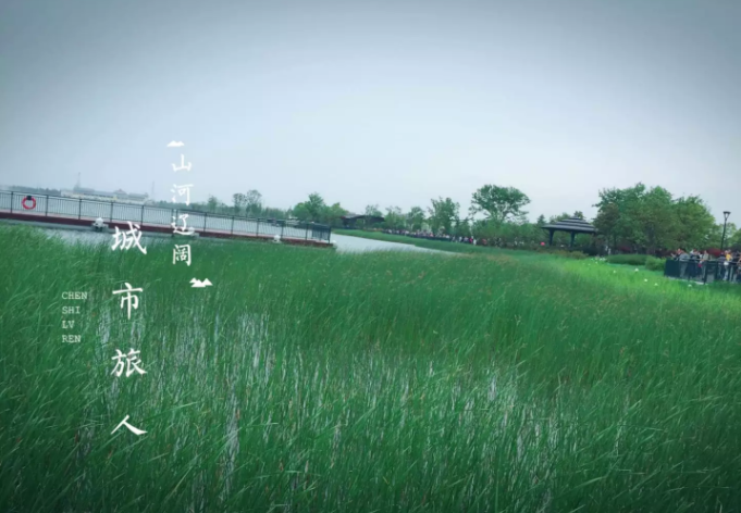 重慶網絡教育學院是大專嗎?師資排名揭秘?學校好考嗎文憑有用嗎?