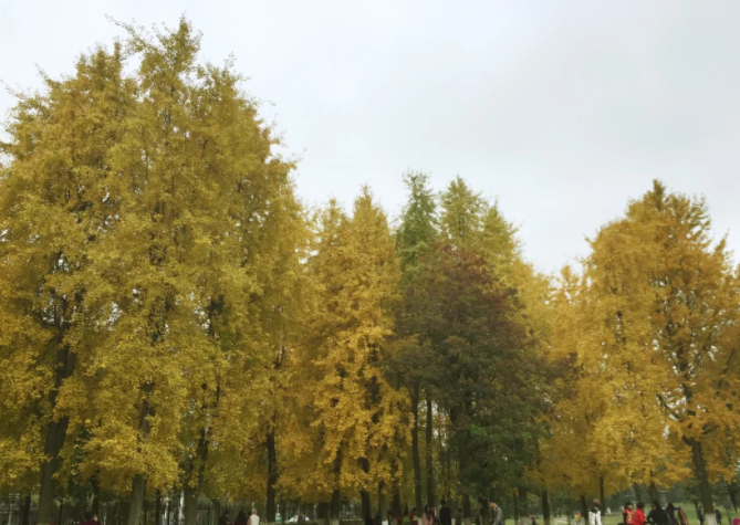 2019消防員報(bào)名條件及時(shí)間介紹?消防員證怎么考有什么用?