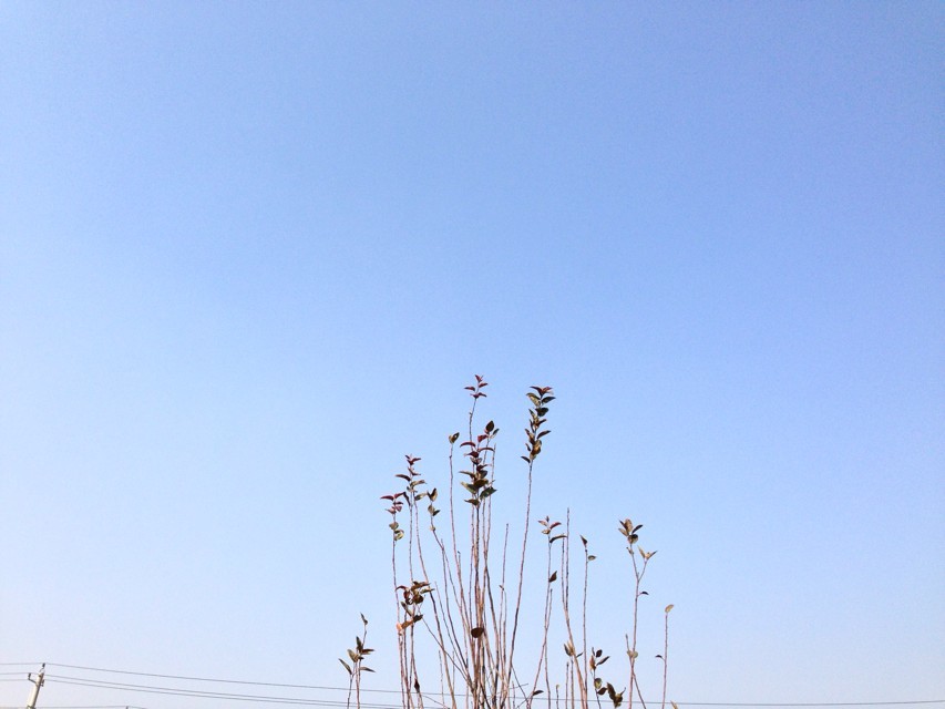 消防證書有什么用值得考嗎?考消防證難不難怎么考報考條件介紹?