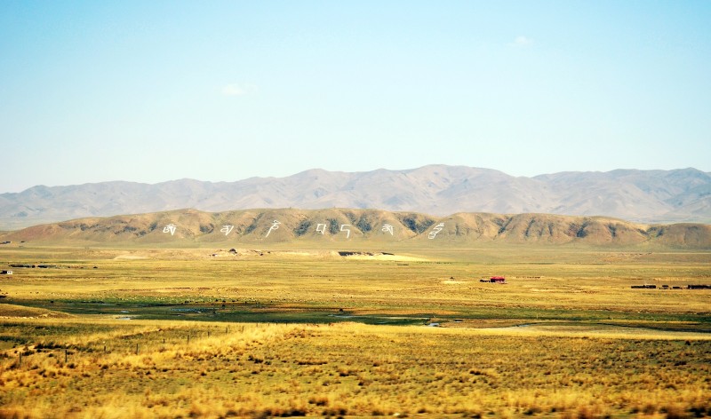 ˮЌWòںӱ?ЌWٷόWMF?