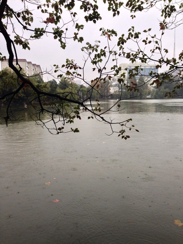 ˮЌWòںӱ?ЌWٷόWMF?