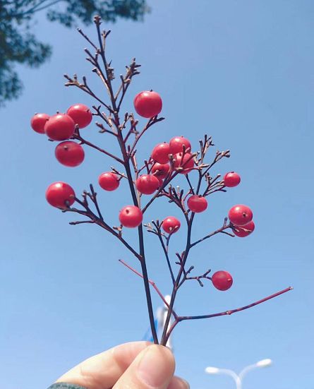 中國船級社是國企嗎?好不好進?公司待遇怎么樣?