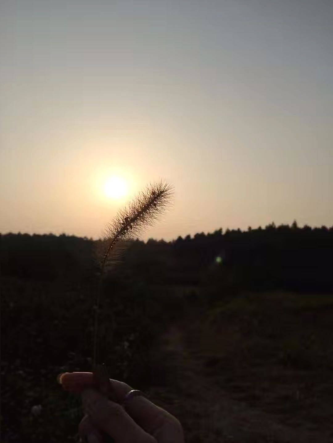 二建有哪些專業?什么專業最容易考?二建報考條件是什么