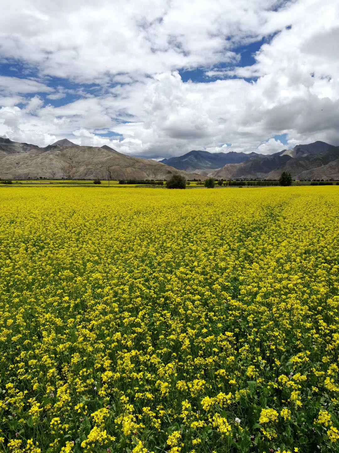 tW׿б^tWyyͨ^Ƕ٣