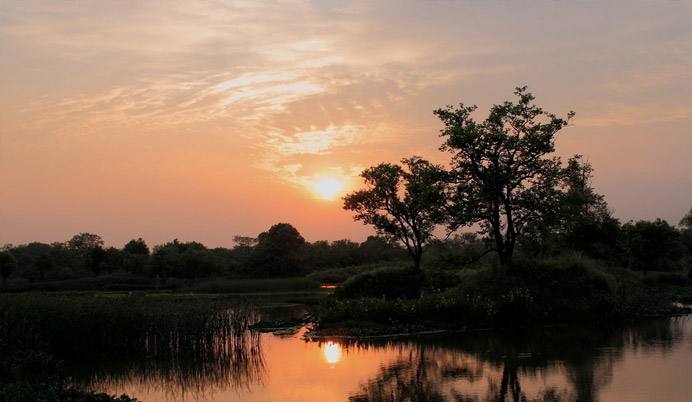 �F�T�C��ʲô�ã��ھW���ܲ鵽�᣿�P�c�F�T�ͷǈF�T�Ĳ�e