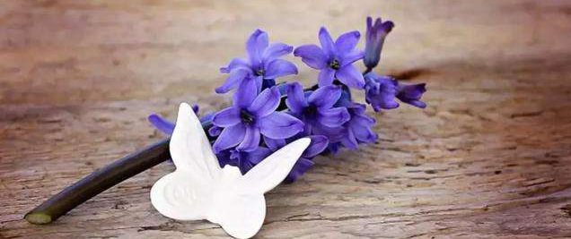 Fֺĵľ ^]ЩĵĬF̾Pc