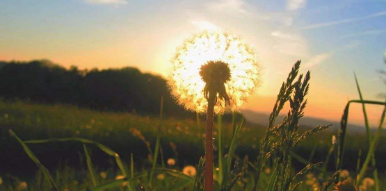 朋友圈曬風景圖的句子你發過沒?一句簡短的風景句子大盤點