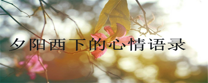 盤點夕陽西下的心情語錄,適合發日落的朋友圈