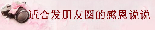 關于心存感恩的經典語句集錦句句正能量,適合發朋友圈的感恩說說