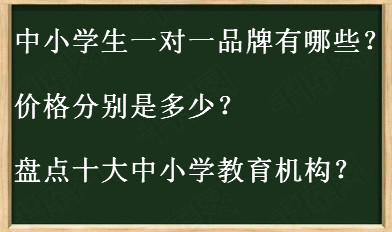 中小學(xué)生一對(duì)一品牌有哪些價(jià)格表揭秘?盤(pán)點(diǎn)十大中小學(xué)教育機(jī)構(gòu)?