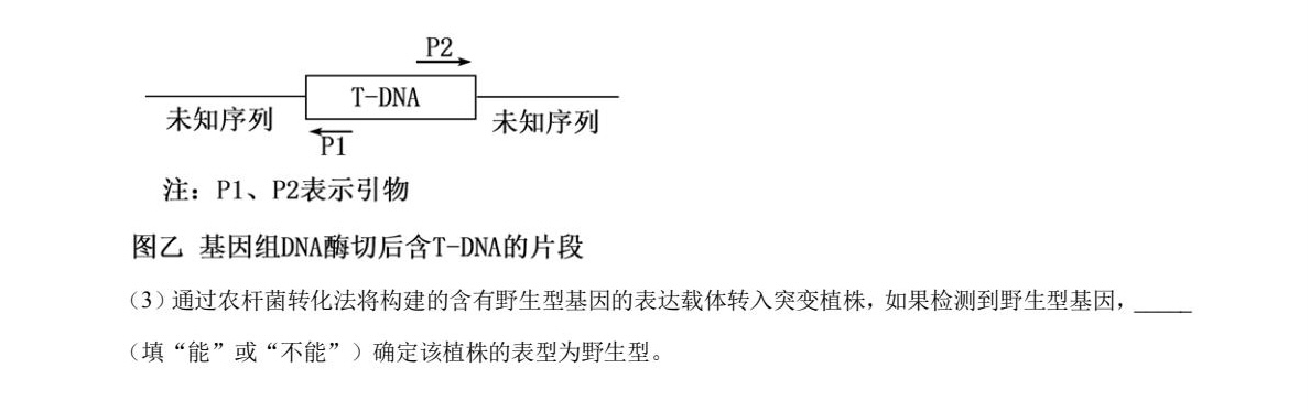 2025ɽ|¸߿ԇ}𰸽c}ͼֲֵ